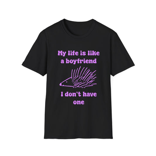 My Life Is Like A Boyfriend I Don't Have One Unisex Softstyle T-Shirt