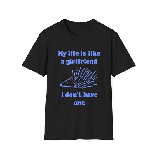 My Life Is Like A Girlfriend I Don't Have One Unisex Softstyle T-Shirt