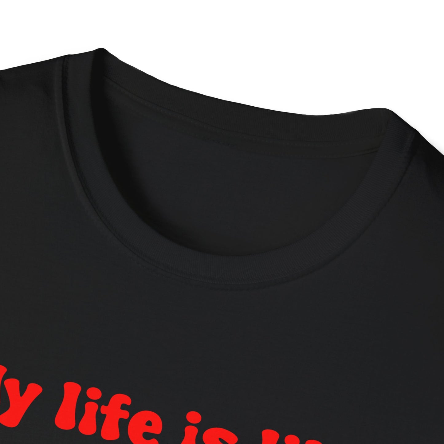 My life Is Like A Drivers License I Don't Have One Unisex Softstyle T-Shirt