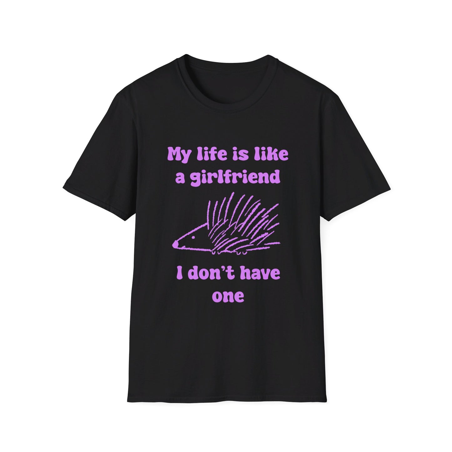 My Life Is Like A Girlfriend I Don't Have One Unisex Softstyle T-Shirt