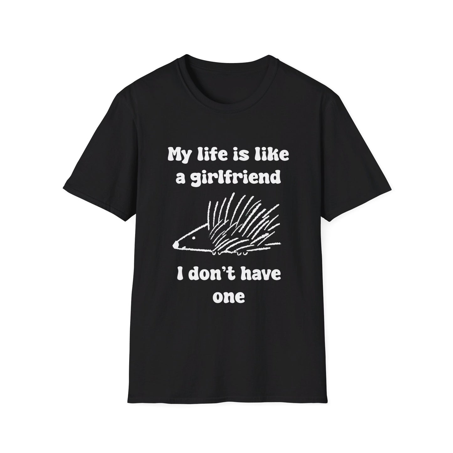 My Life Is Like A Girlfriend I Don't Have One Unisex Softstyle T-Shirt